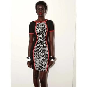 Yoana Baraschi Runway Dress 6 Black White Geometric Mesh Panel Colorblock Fall